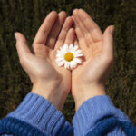 Open handpalmen met een bloem in een gevend gebaar